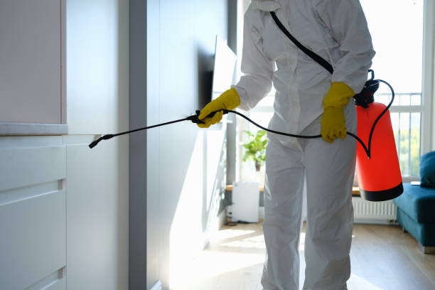 Best Emergency Mold Remediation in Loudonville, OH