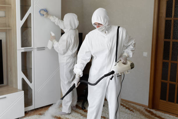 Best Industrial Mold Remediation in Loudonville, OH