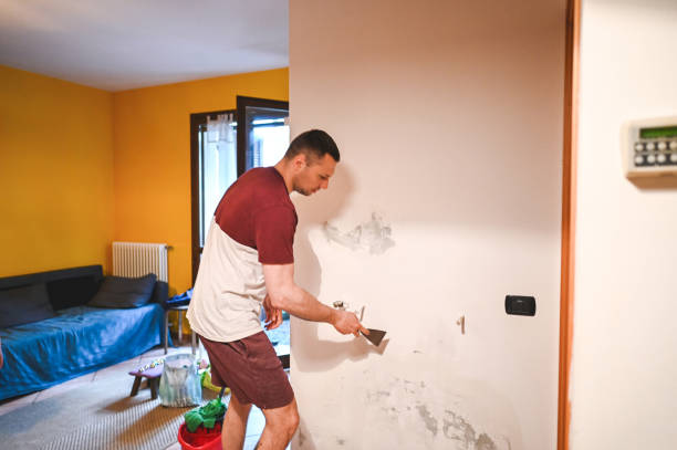 Best Mold Remediation for Schools in Loudonville, OH